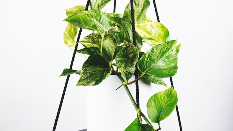 评论员黄健翔在赛后复盘英超焦点战的激情瞬间